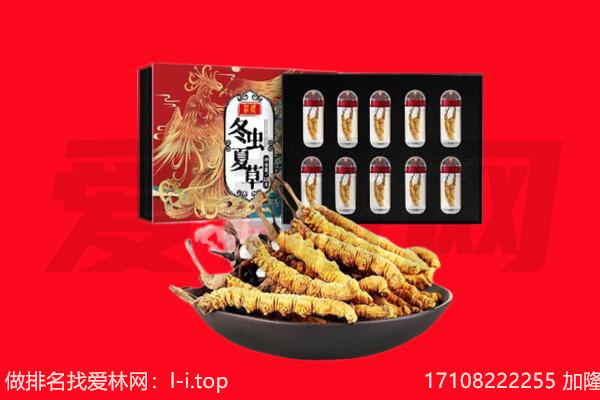 常德石门县回收虫草.jpg